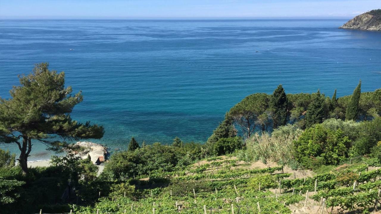 Appartamento A Moneglia, Tra Portofino E Le Cinque Terre Luaran gambar